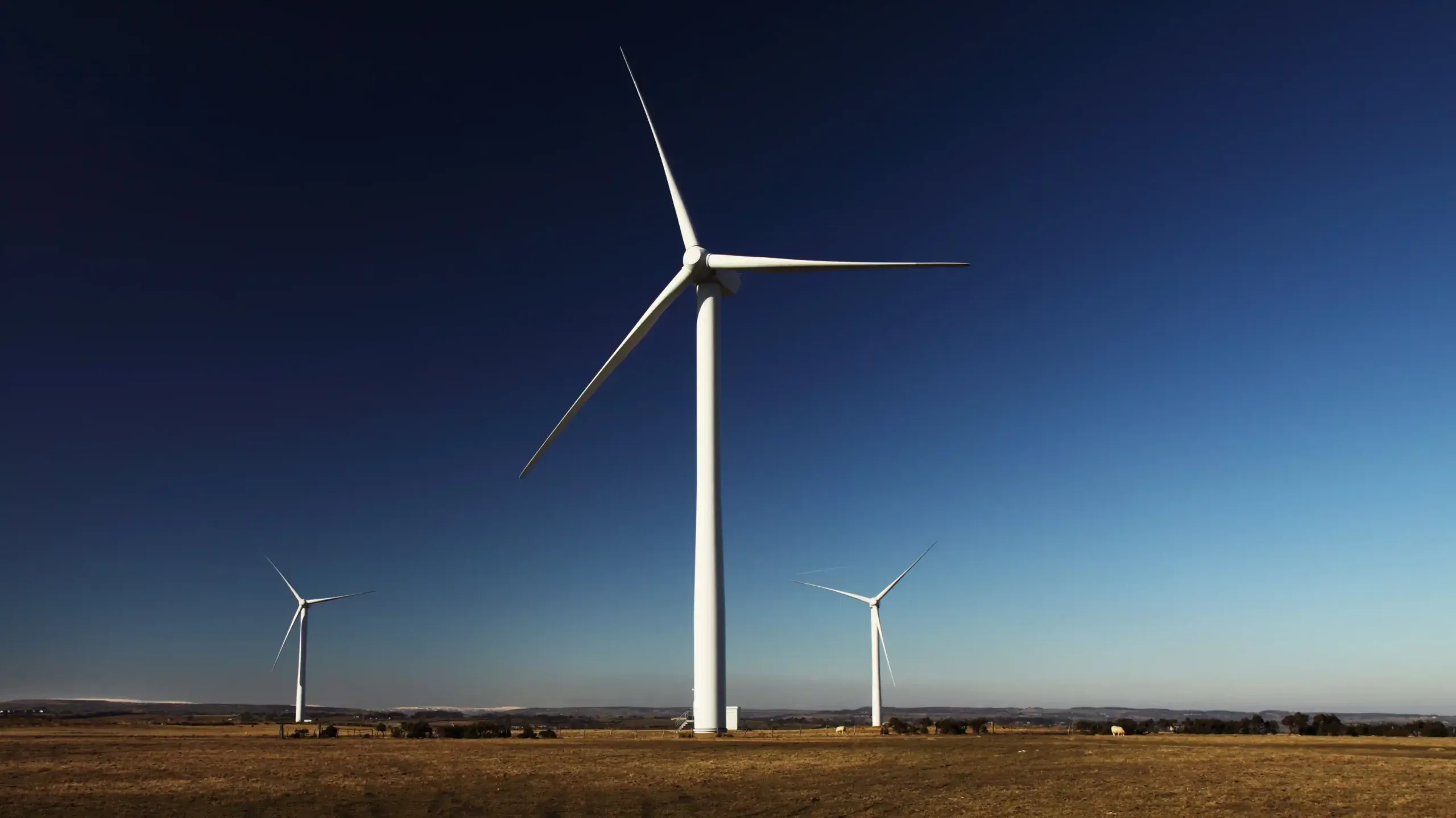 Green Policies and Renewable Energy are Here to Stay in 2022