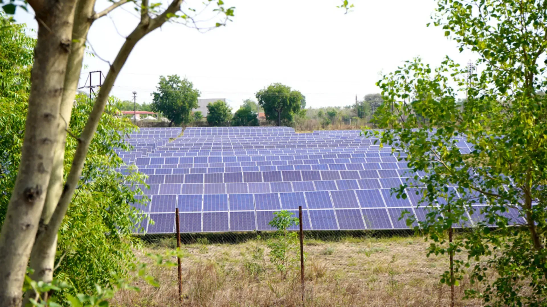 Rapid $1.7 Billion Solar Boom in Pakistan Revolutionizes Agriculture Sector