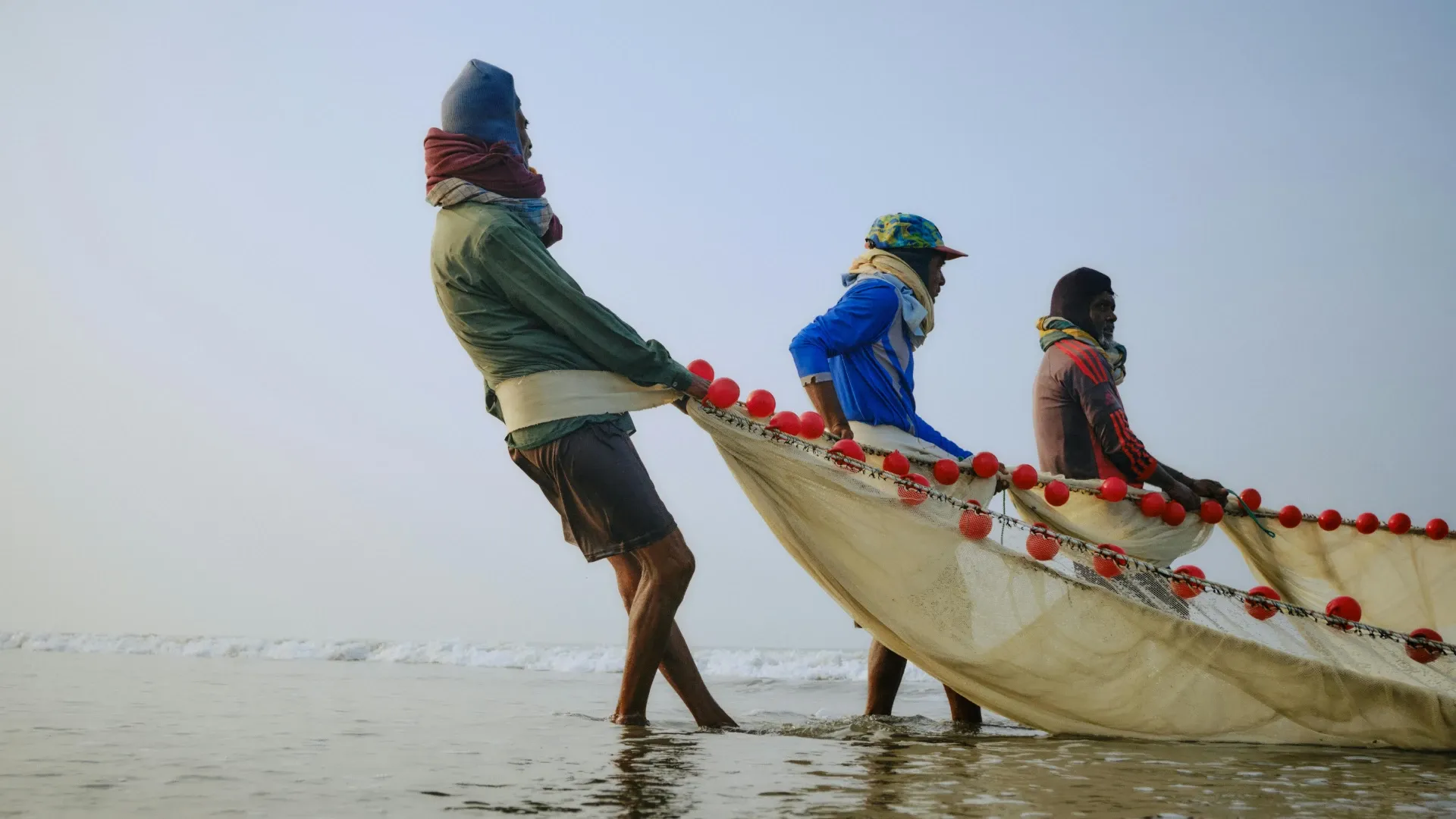 How Marine Biotechnology Is Transforming the Pacific Blue Economy