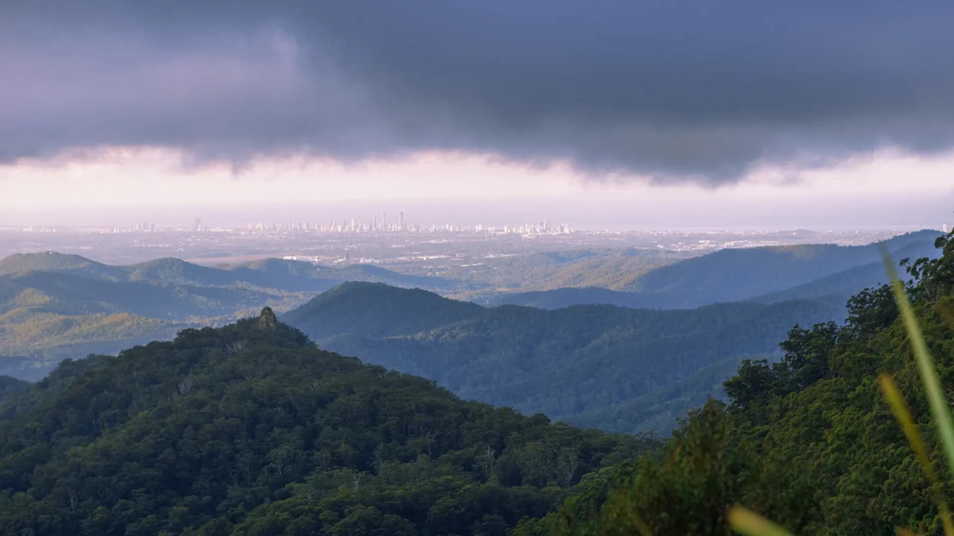 How Papua New Guinea’s Rainforests Could Become Its Next Export Economy