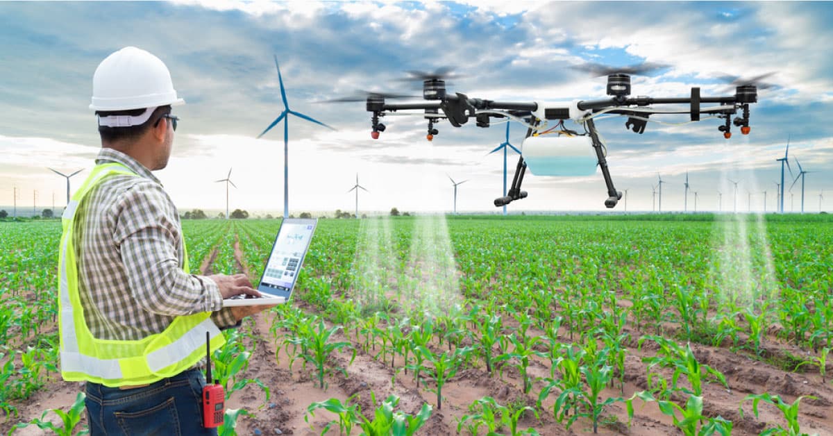 Dubai plans Logical innovations of establishing modern farming ????