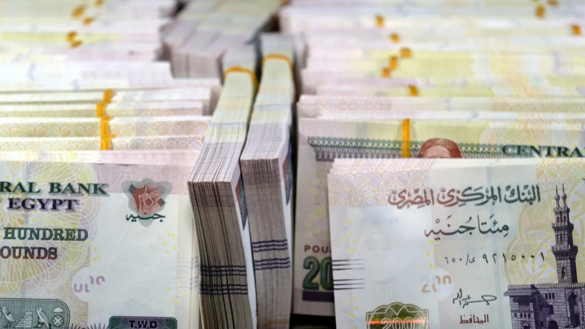 Central Banks of UAE and Egypt Renew $1.36 Billion Swap Agreement