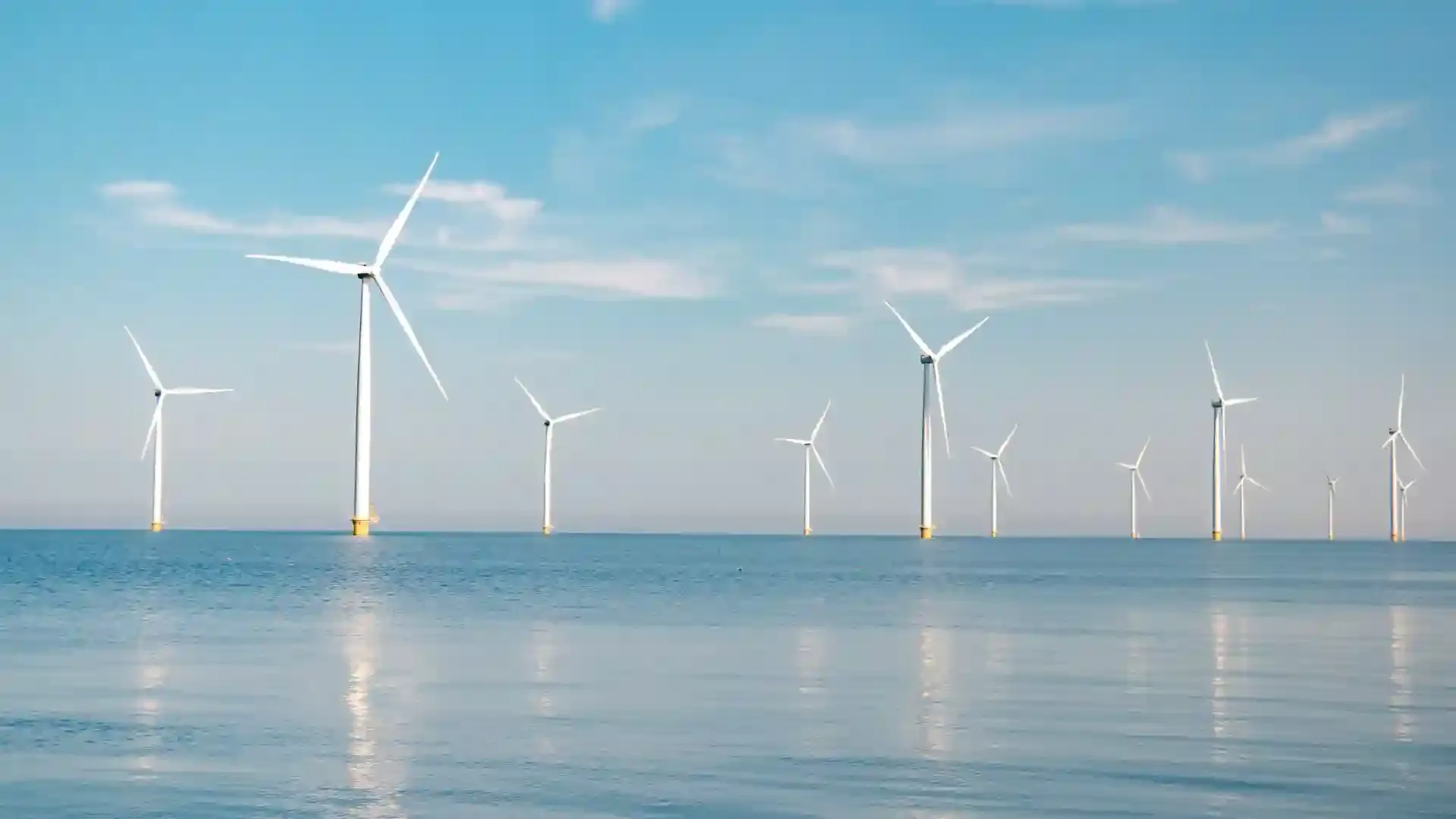 European Companies Throng the First-Ever Auction of California Wind Development Rights