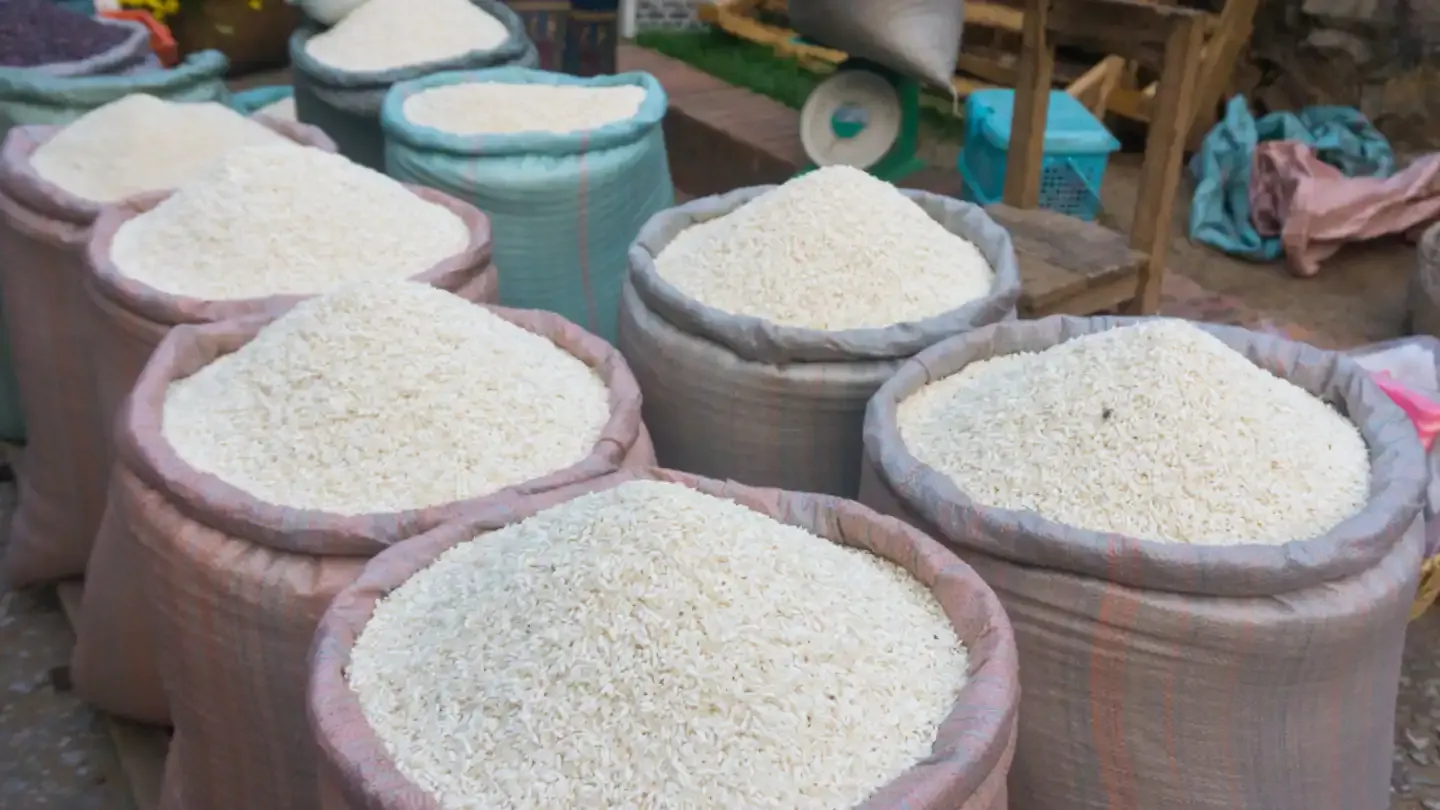 India’s Rice Export Ban: Both Driver and Effect of the Global Food Crisis