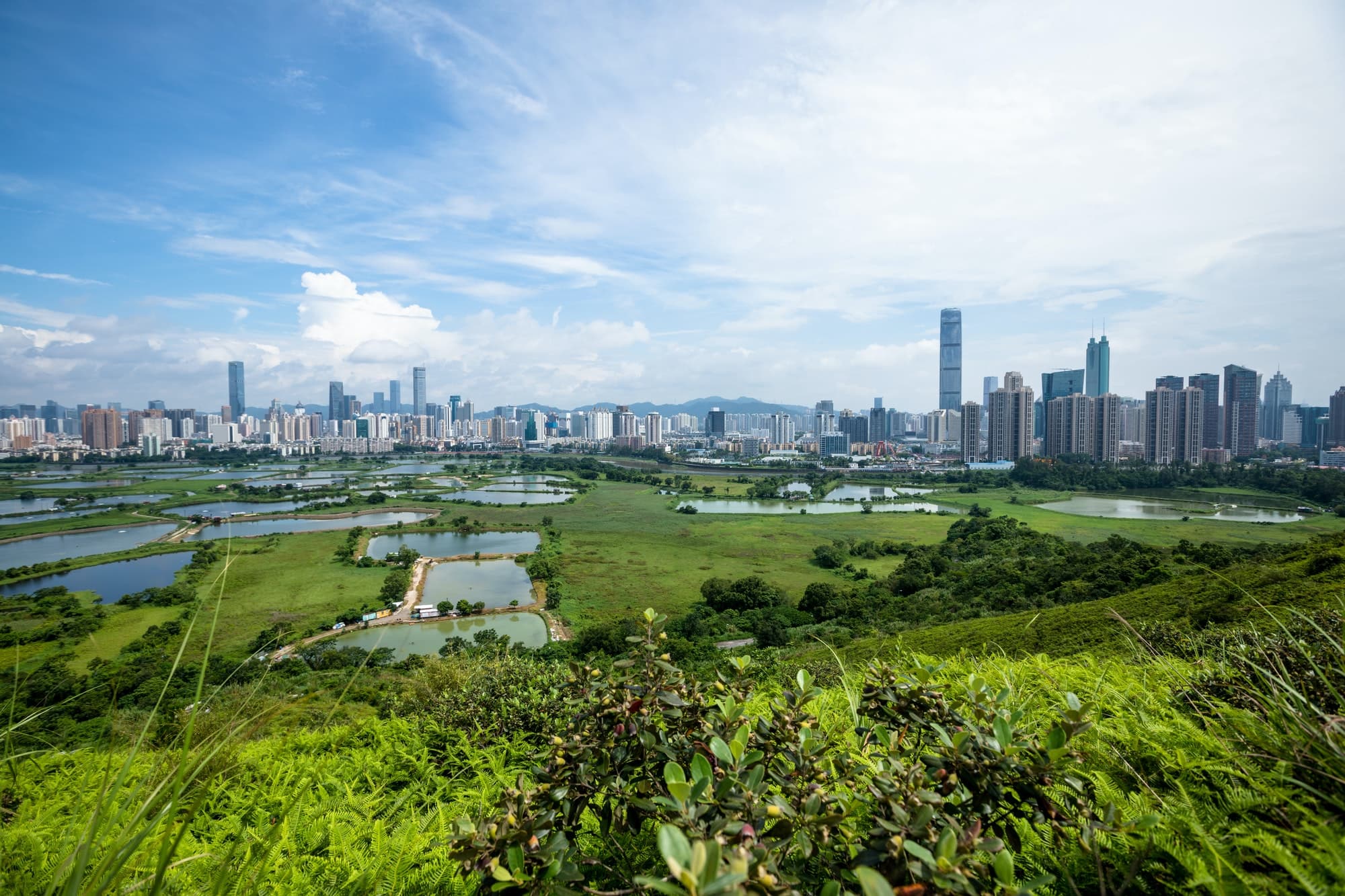 Hong Kong and Thailand advance their cross-border CBDC project
