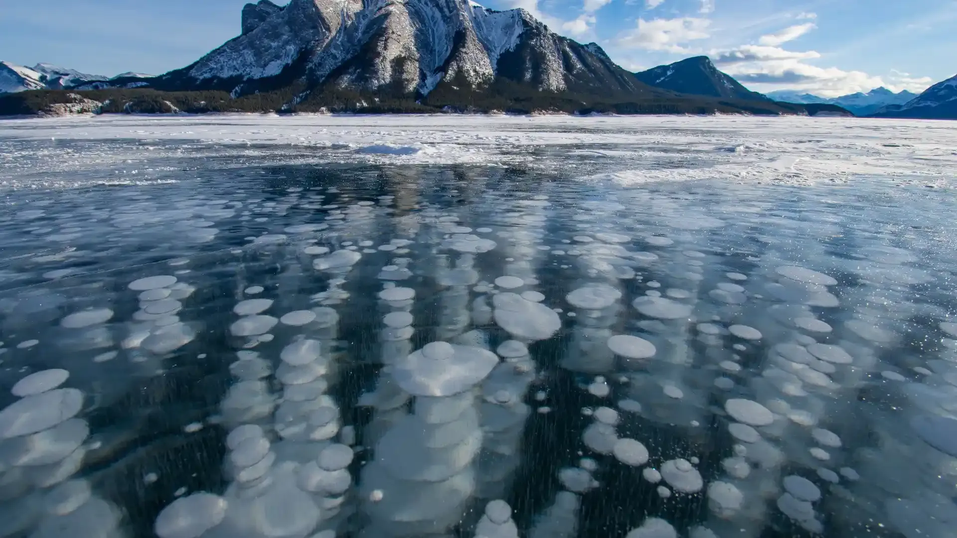 Fossil Fuel Industry Methane Leaks Near Record Highs in 2023