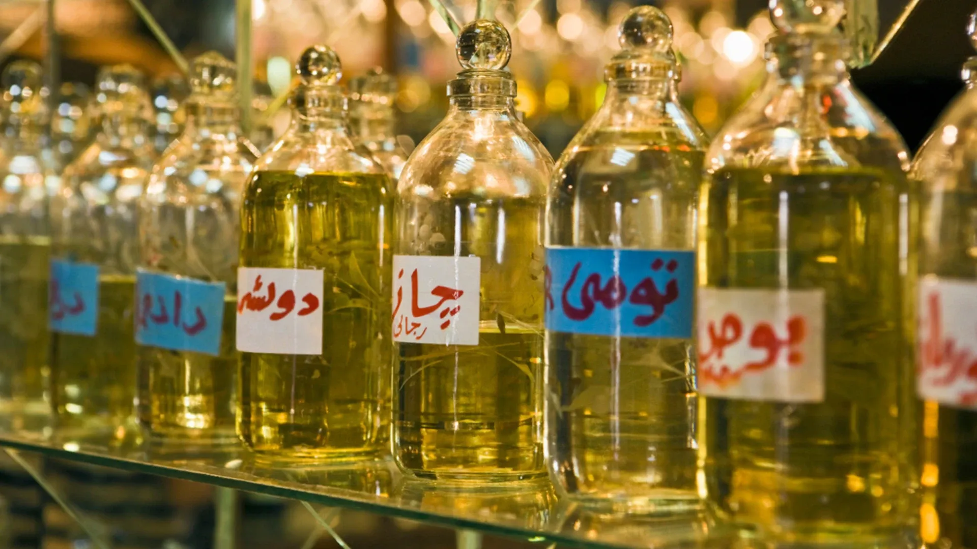 Egypt Launches $1 Billion Startup Charter to Power Innovation and Employment