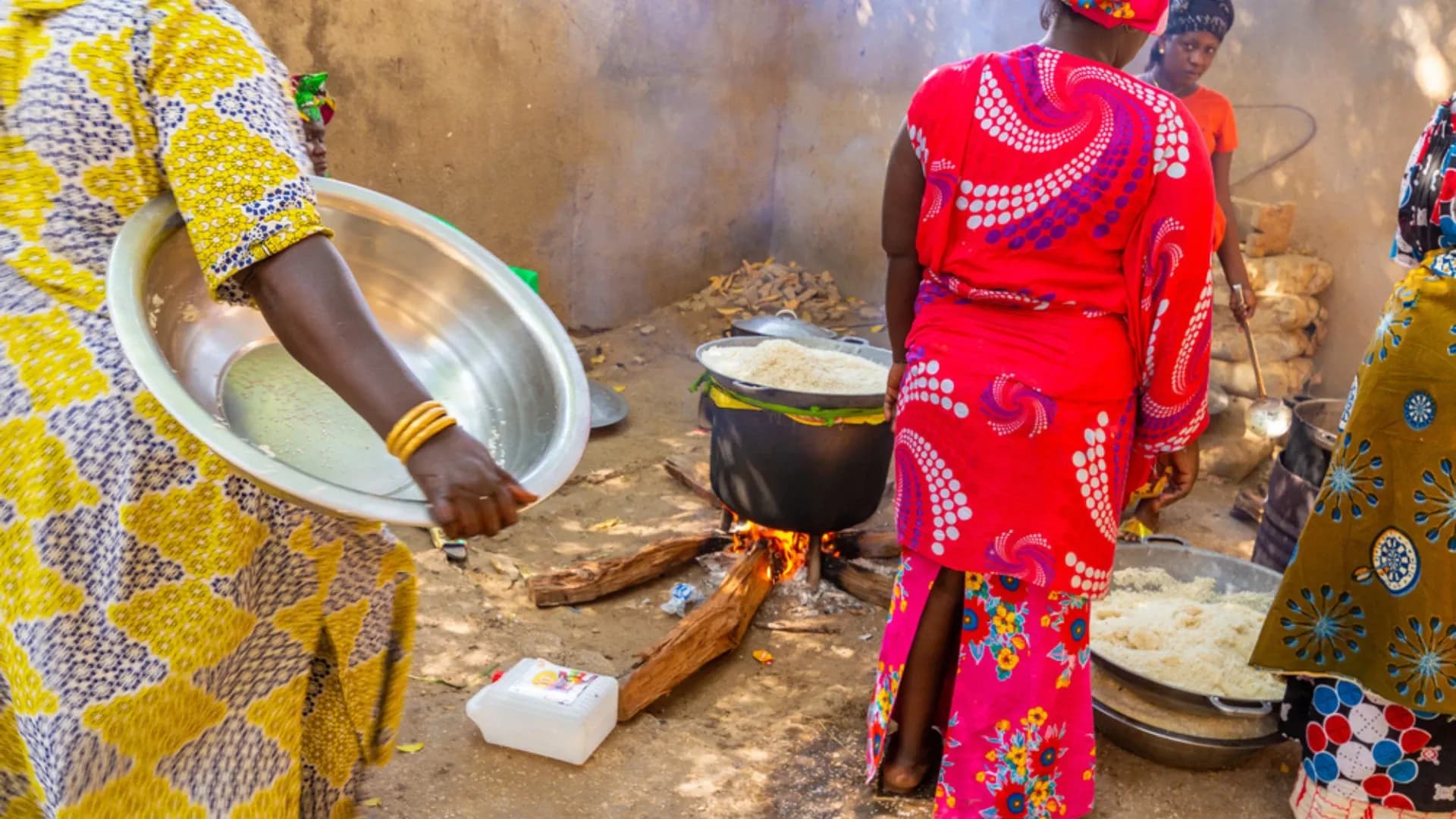 Food And Fragility: How Can Africa Combat The Food Security Problem?
