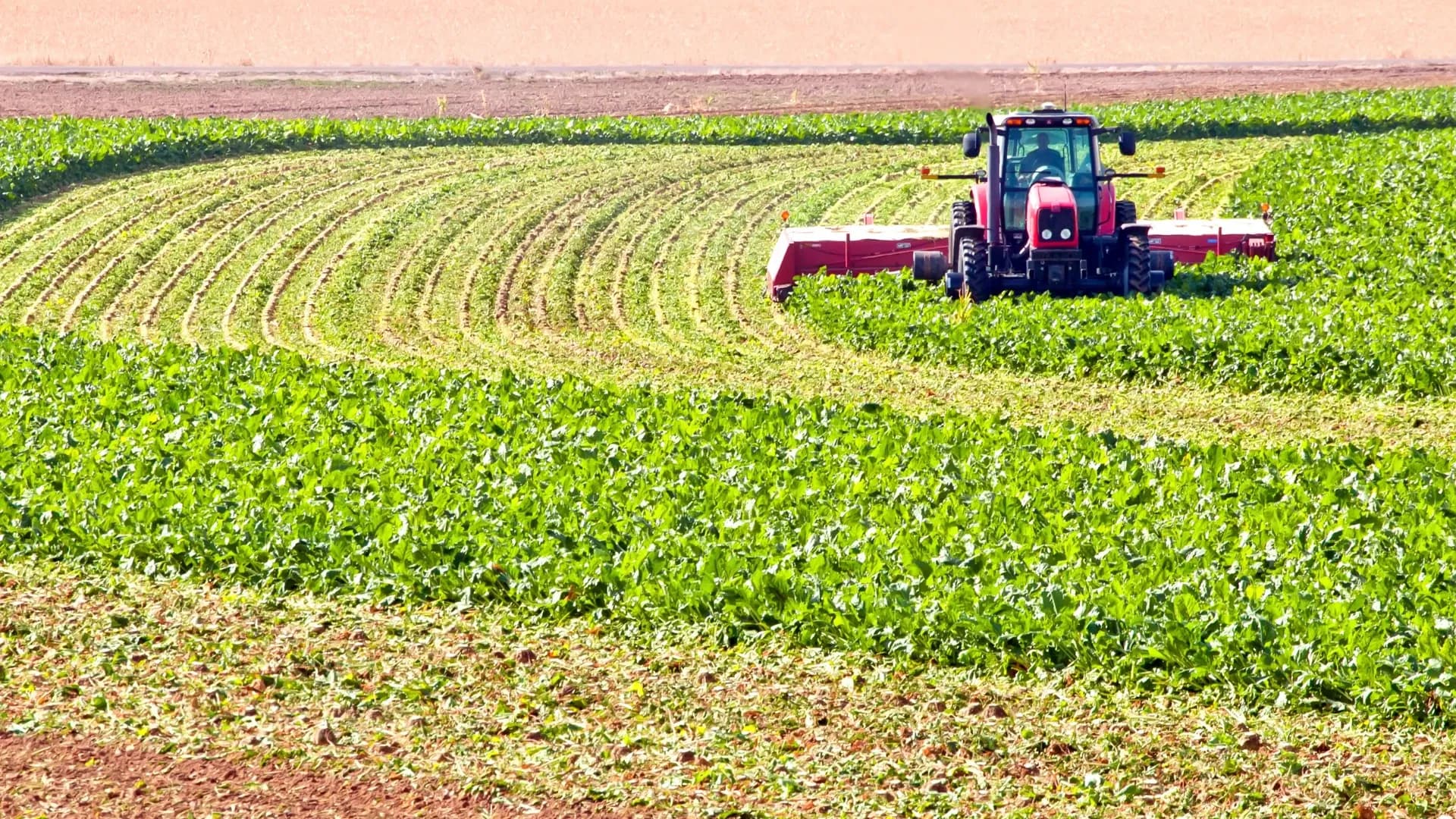 Why LatAm’s Agro Sector Is The Next Big Market Despite Fertiliser Shortage And Climate Shocks