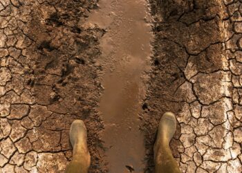 Global warming and climate change effects threat to mankind
