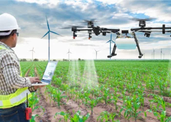 Dubai plans Logical innovations of establishing modern farming