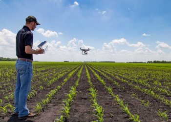 Red Sea Farms collaborates with the University of Arizona; controlled-environment agriculture market to bounce to SAR 645.69 billion