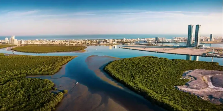 UAE: PATA Annual Summit to be held in the fall of 2022 to steer tourism