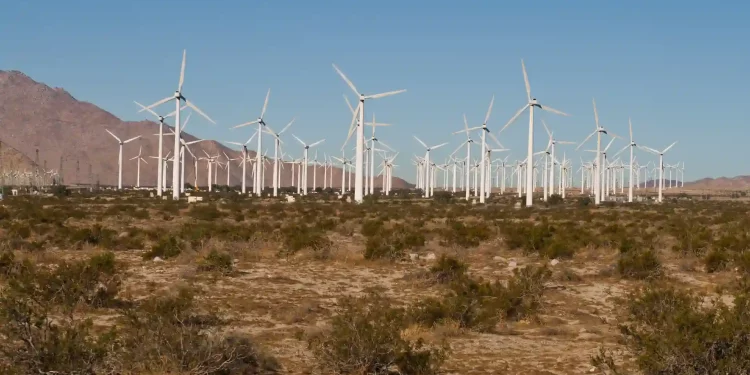 UAE and Egypt sign MoU to develop a 10GW onshore wind farm, making it one of the world’s largest wind projects in Egypt