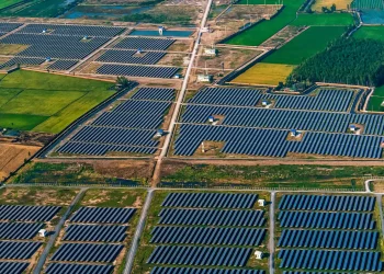 Nextracker CEO Predicts Solar’s Unstoppable Rise as Demand Escalates