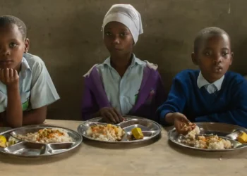 The UN-led Report Suggests 282mn People Faced Food Insecurity Last Year