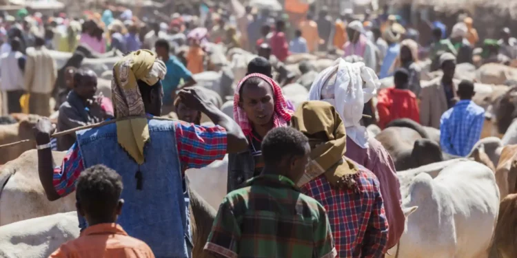 Africa’s Debt Challenges: Implications for Global Stability