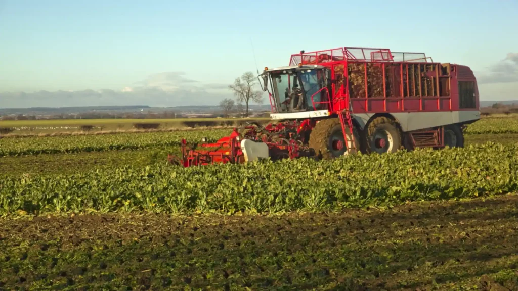 England’s Funding Cuts of £100 Million Threaten Nature-Friendly Farming Future