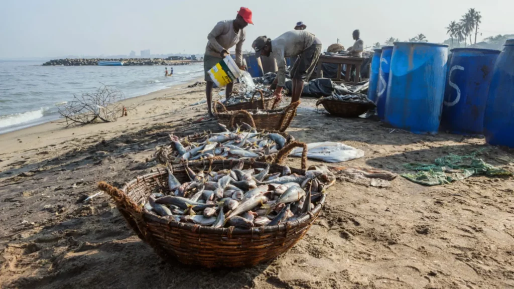 Nigerian Coastal Community Loses Livelihood And Homes Due to Rising Sea