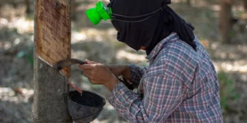 Sri Lanka’s Rubber Exporters Oppose Removal Of Simplified VAT, Citing Serious Economic Fallout