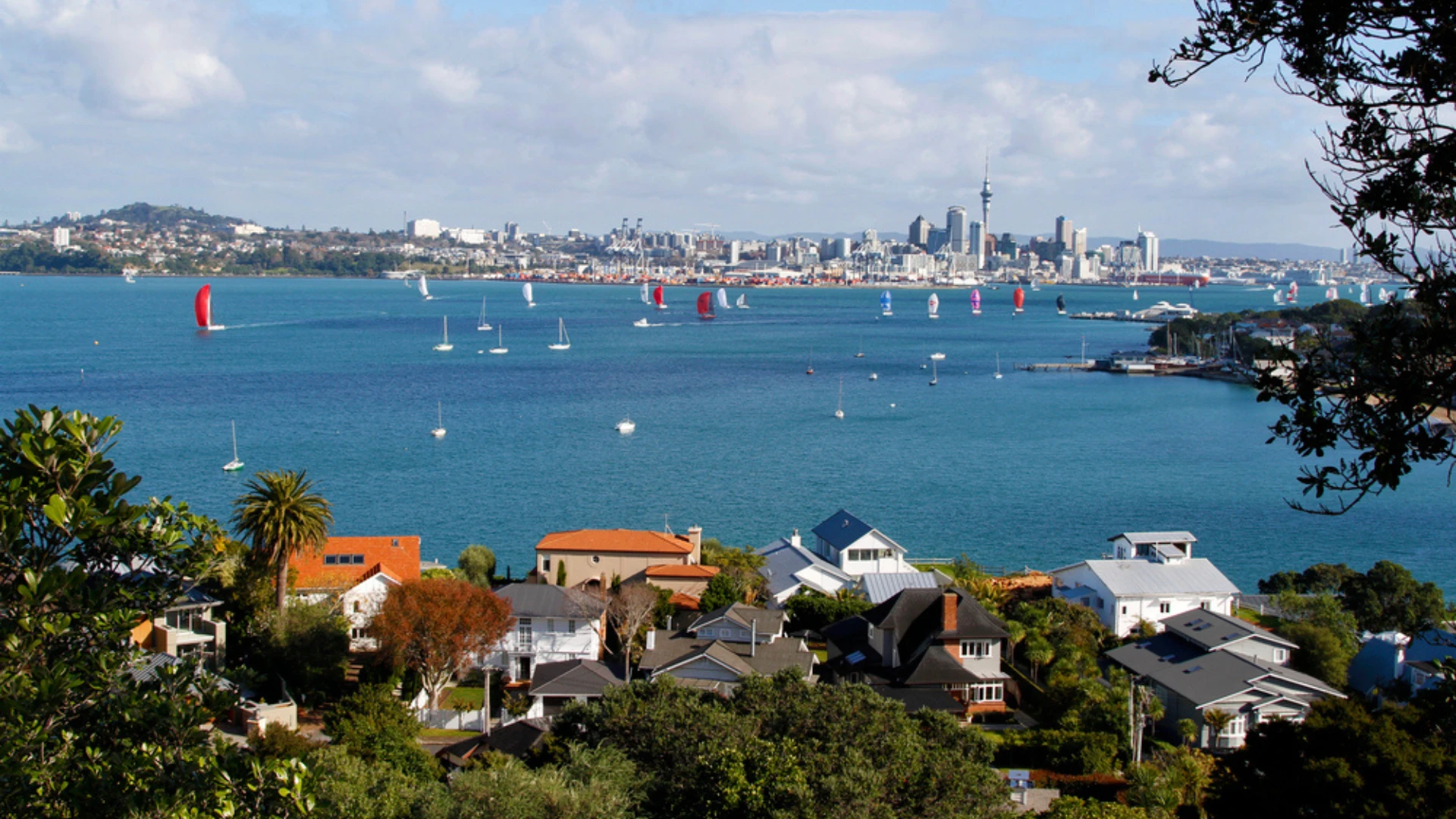 Economic Development and Business Expansion Across the Pacific Island Nations