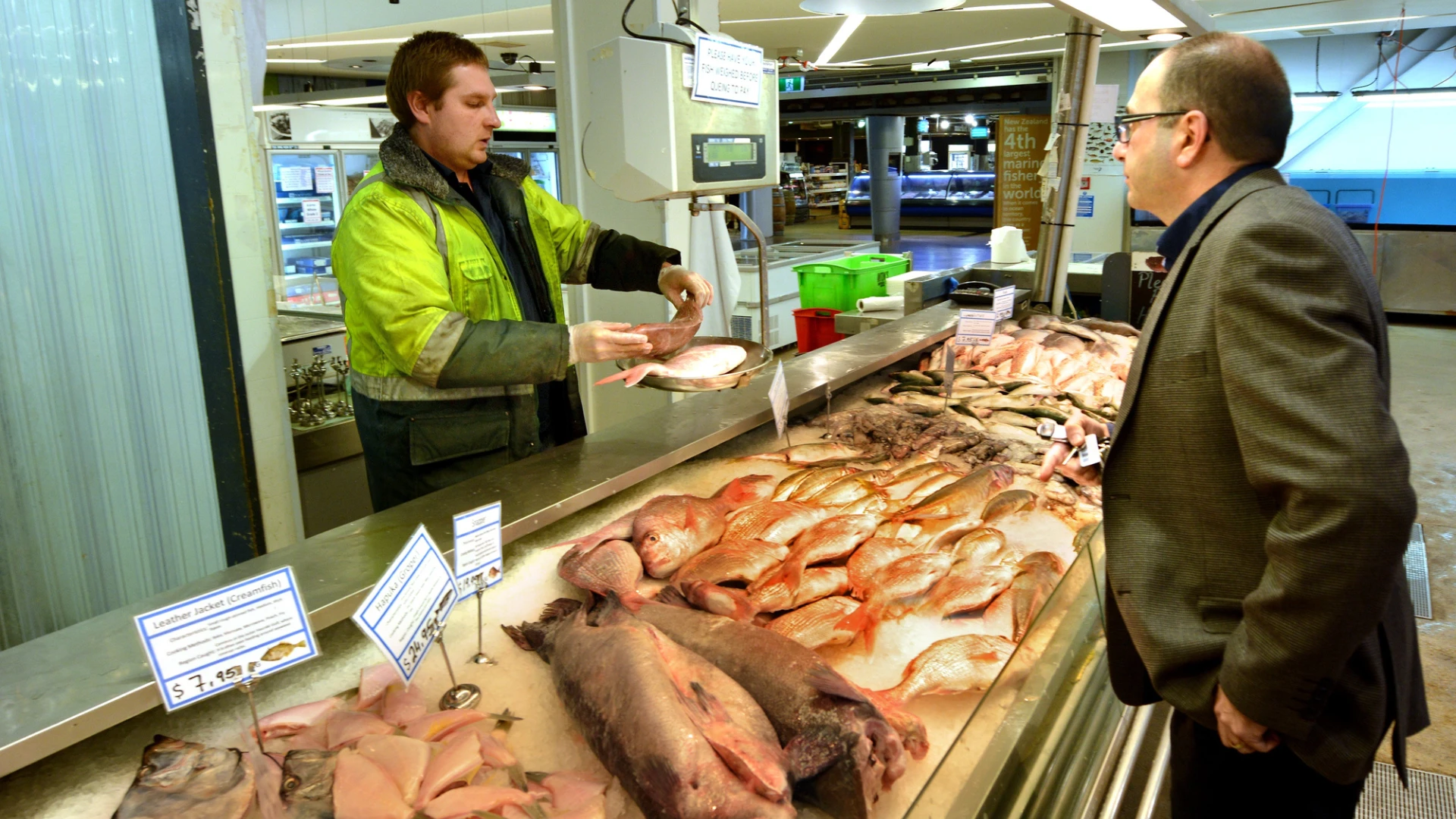 From Harbour to Horizon: New Zealand’s $300m Salmon Surge and the Rise of Maori Aquaculture 